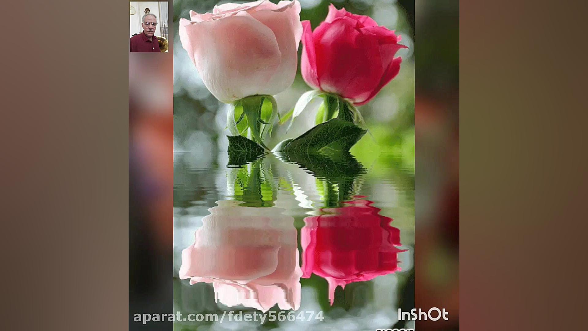 آهنگ.برگ گل. ماشاءالله افاضاتی