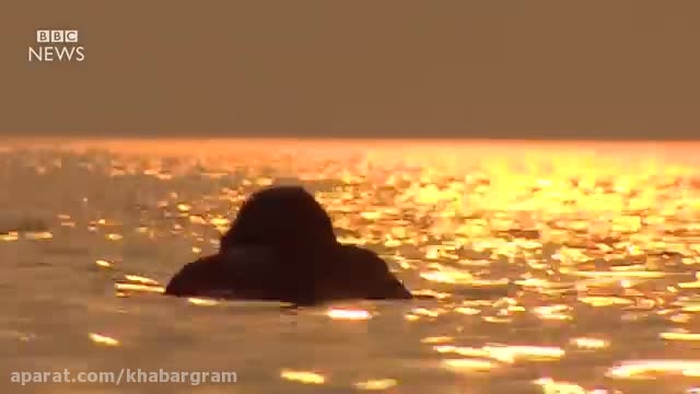 گنگ  مادر در حال مرگ هند