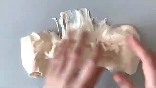 اسلایم  اسلام کیوت