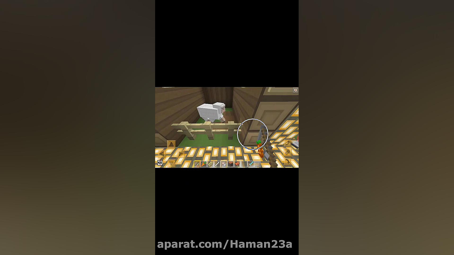 رام کردن حیوانات