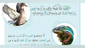تدریس و تحلیل قواعدی درس پنجم...