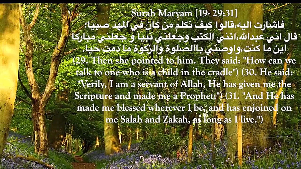 مقاطع الذهبية لشيخ محمود الشحا...