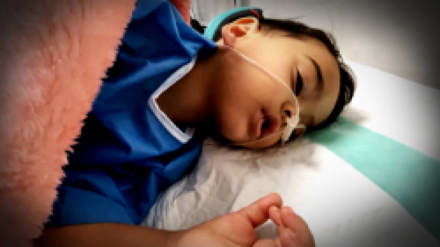 خانواده ی ماچارتا امیر صدرا سک...