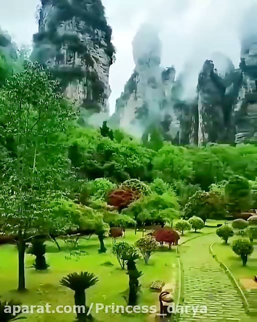 آجی میخوام(کپ)
