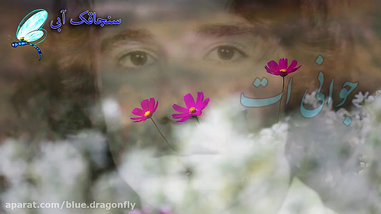 تبریک روز جانباز برای برادر فو...