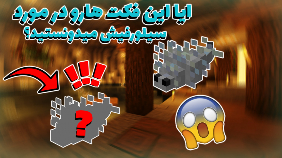 6 تا چیز که احتمالا درباره ی س...