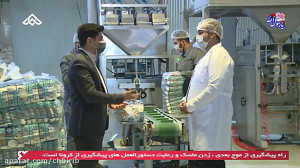 کارخانه الماس اسپید صدرا