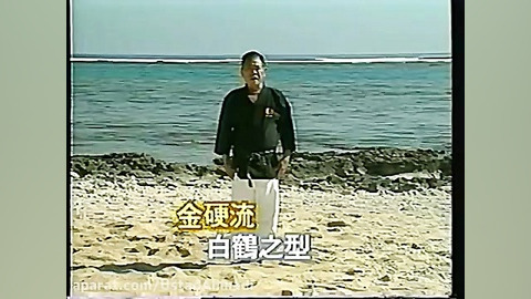 هاکاتسورا کاتا(HAKUCHO)❊سن سی...