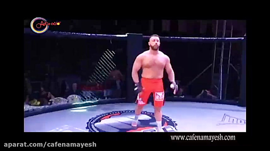 شوی کیک بوکسور آماتور