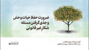 ضرورت حفظ حیات وحش و جدّی گرفت...