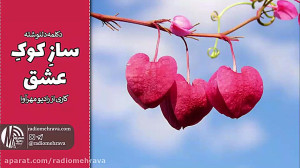 دکلمه دلنوشته ساز کوک عشق | را...
