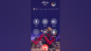 کلیپ نوشته مرینت آدرین