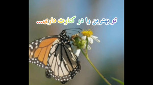 خدا