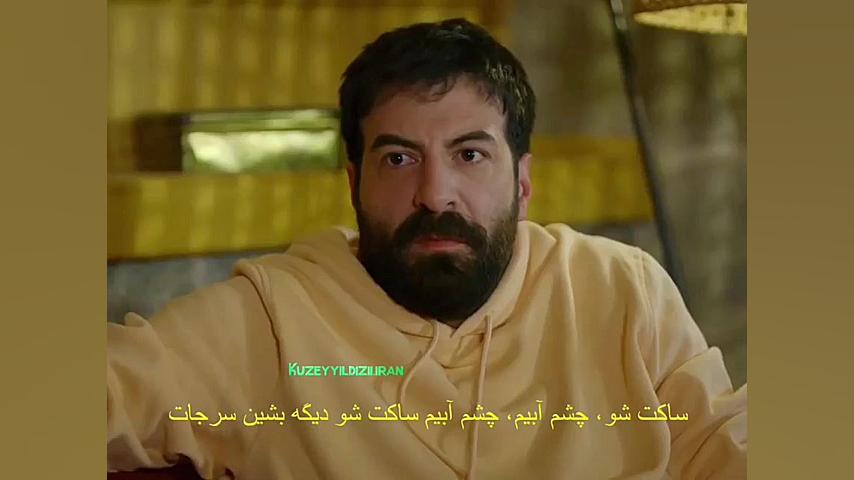 ستاره شمالی