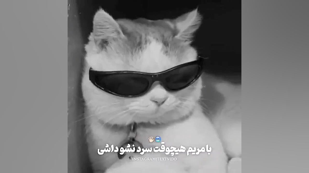 دیس مریم ها لایک کنید