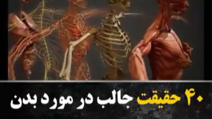 40 حقیقت جالب در مورد بدن انسا...