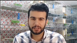 چگونه به عروس هلندی آبتنی بدیم