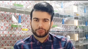 تغذیه های ممنوع برای عروس هلند...