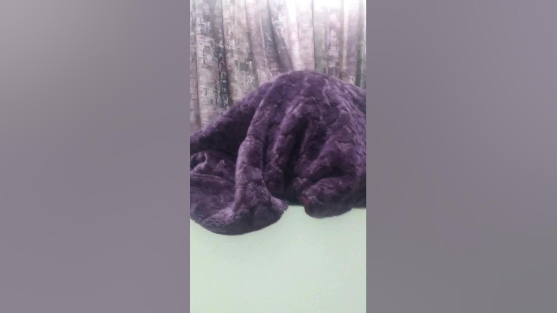 جوک زیر پتویی