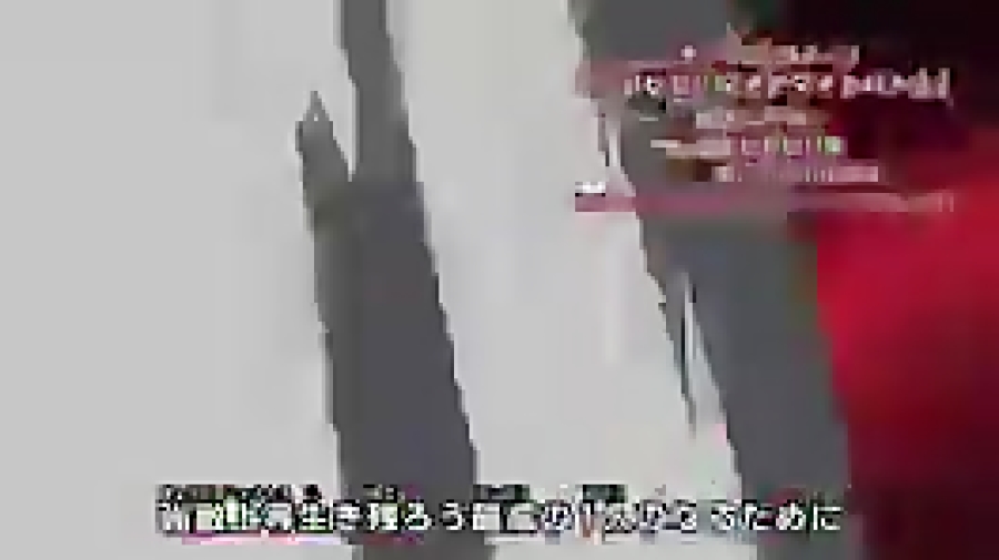 انمیشن فرفره های انفجاری قسمت...