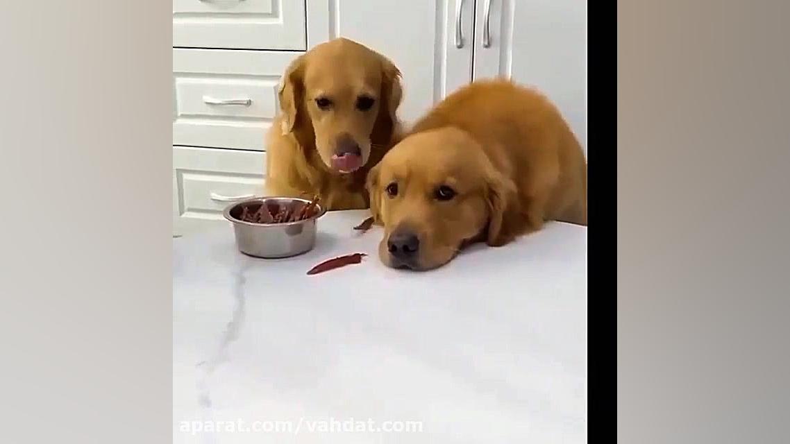 بیایید با خدا هم آشتی کنیم و ب...