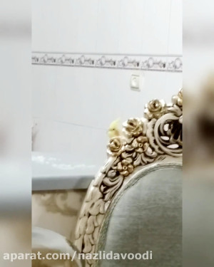 جوجو طلا عروس هلندیم رو فروختی...