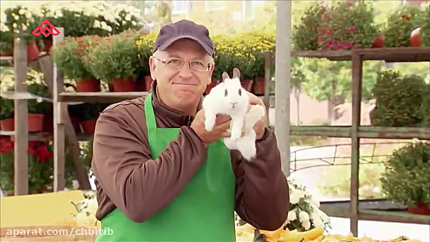 دوربین مخفی خنده دار