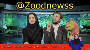 قورباقه ها نسبت به صادرات خود...