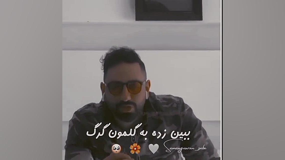 شاخه نبات