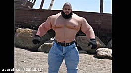 همه چیز درباره‌ی مارتین فورد