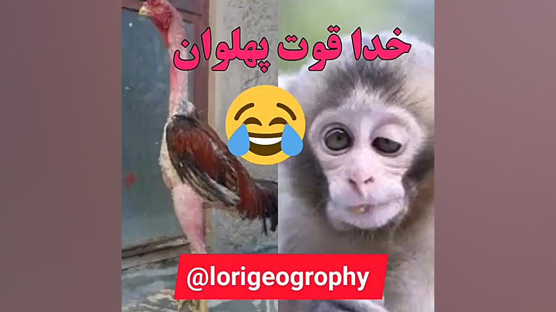 خدا قوت پهلوان