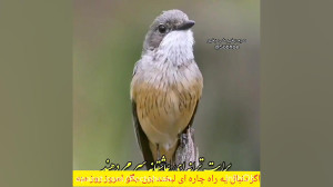 لبخند بزن بگو امروز روز من