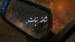 شاخه نبات مسیح و آرش masih ara...