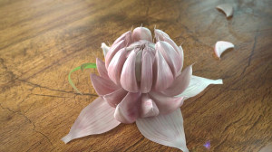 شامپو سیر پرژک  Parjak Garlic...