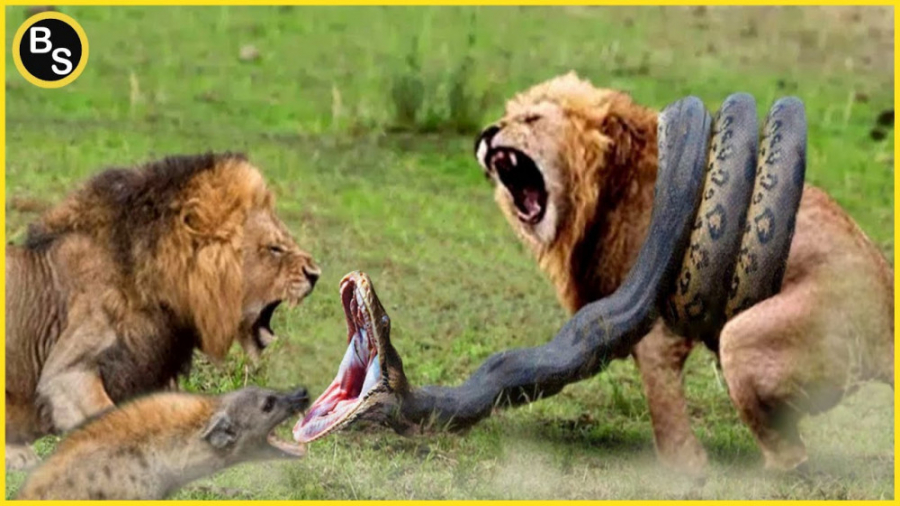 7 حیوان باورنکردنی که می توانن...