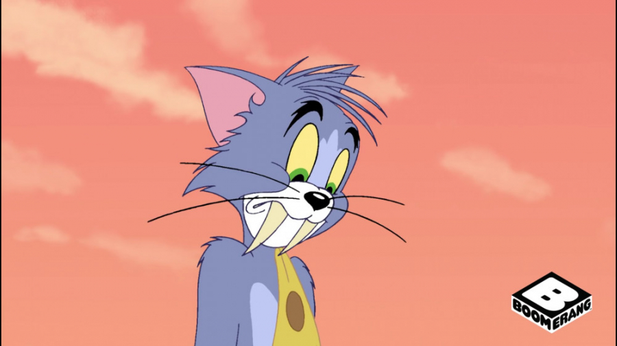 انیمیشن تام و جری | تام و جری...