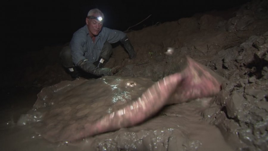 دست و پنجه نرم کردن با سفره‌ما...