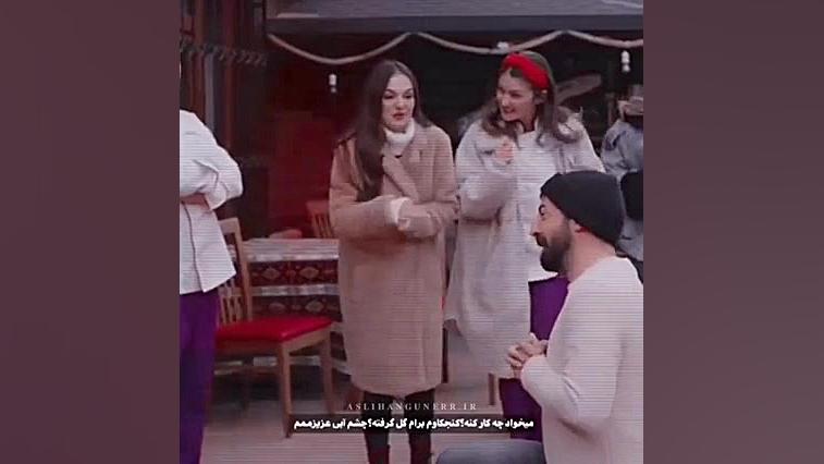 ستاره شمالی