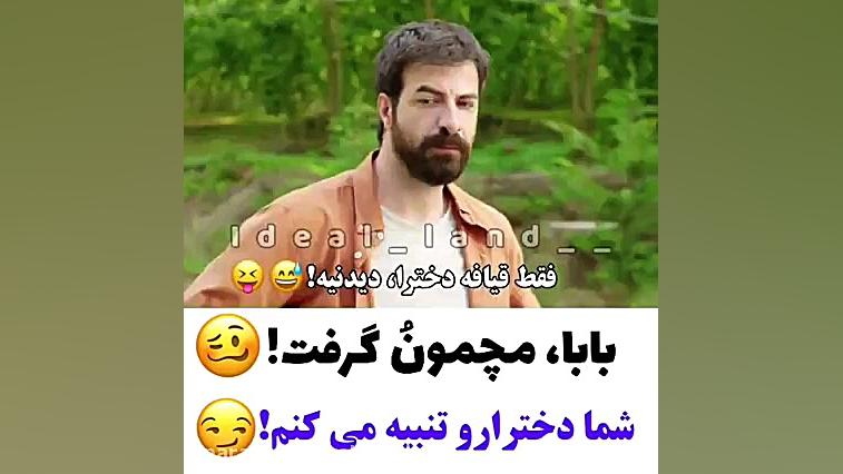 ستاره شمالی