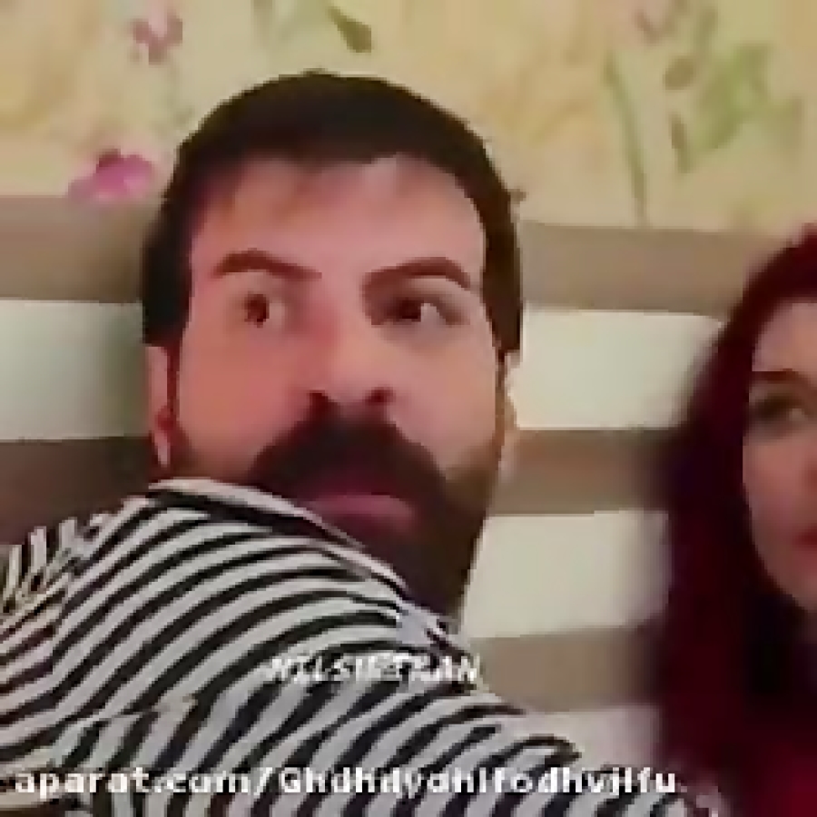 ستاره شمالی