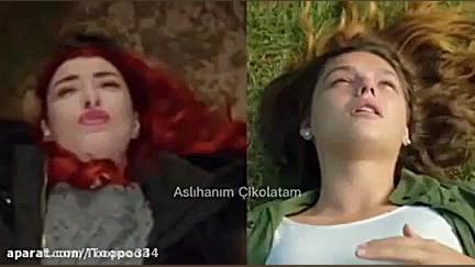 ستاره شمالی