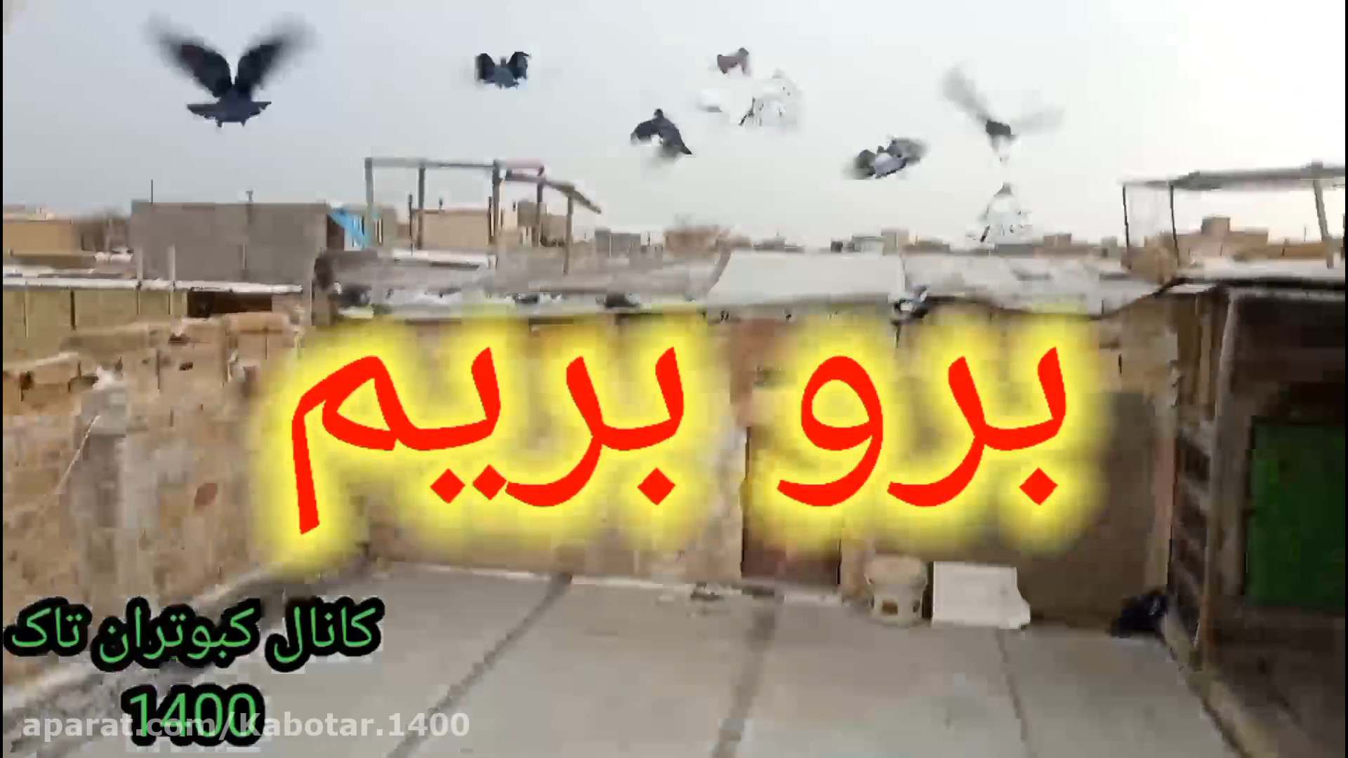 کفتربازی یا همون چاشنی بازی