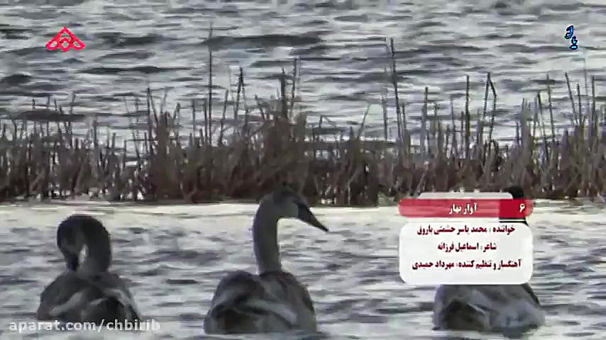 کلیپ نورزو  آواز بهار