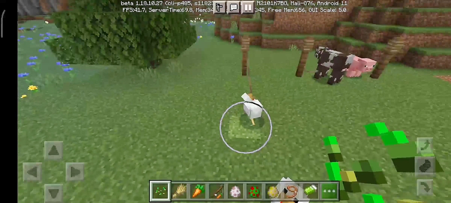 رام کردن انواع حیوانات در ماین...