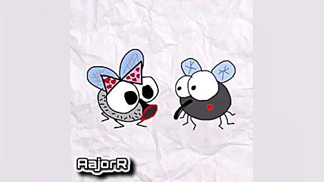 خواستگاری مگس ها