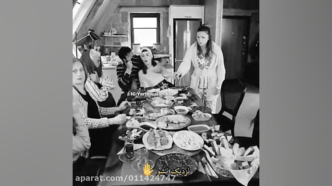 ستاره شمالی