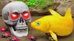 انیمیشن استاپ موشن | ماهی کوی...