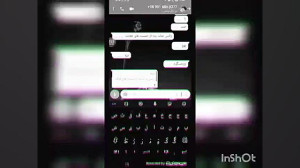گربه