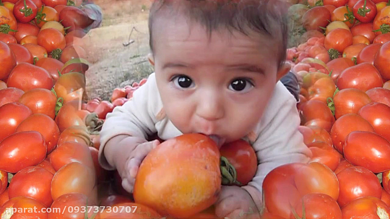 خیلی جالبه حتما ببینید از دست...