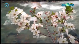 ترانه ترگی گلدی باهار
